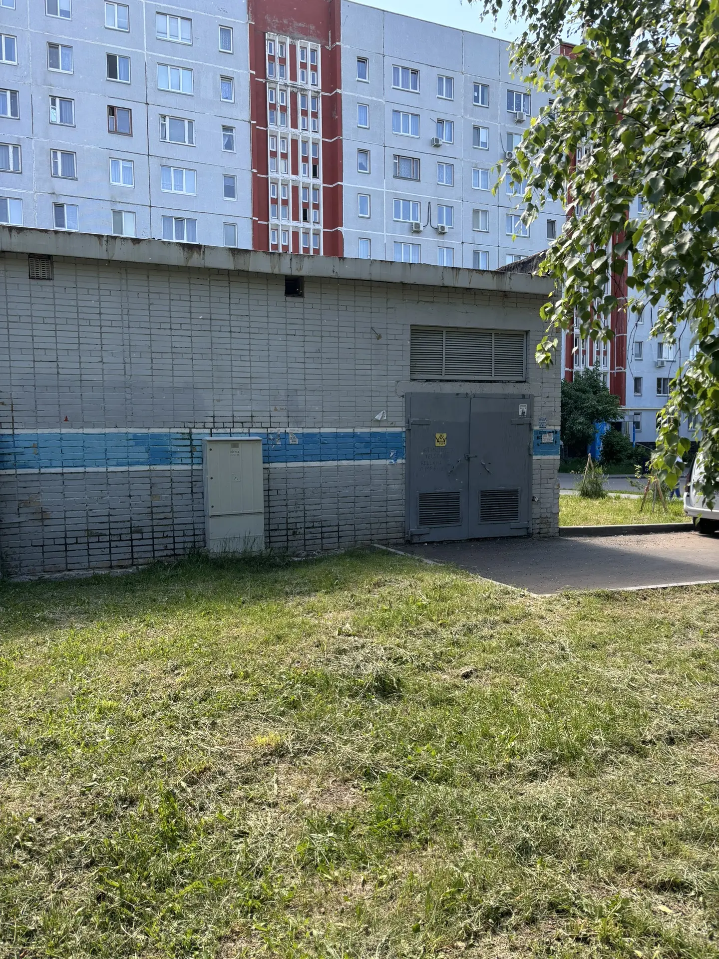 Тополиный пух атакует двор: жители 32 комплекса требуют обрезки деревьев