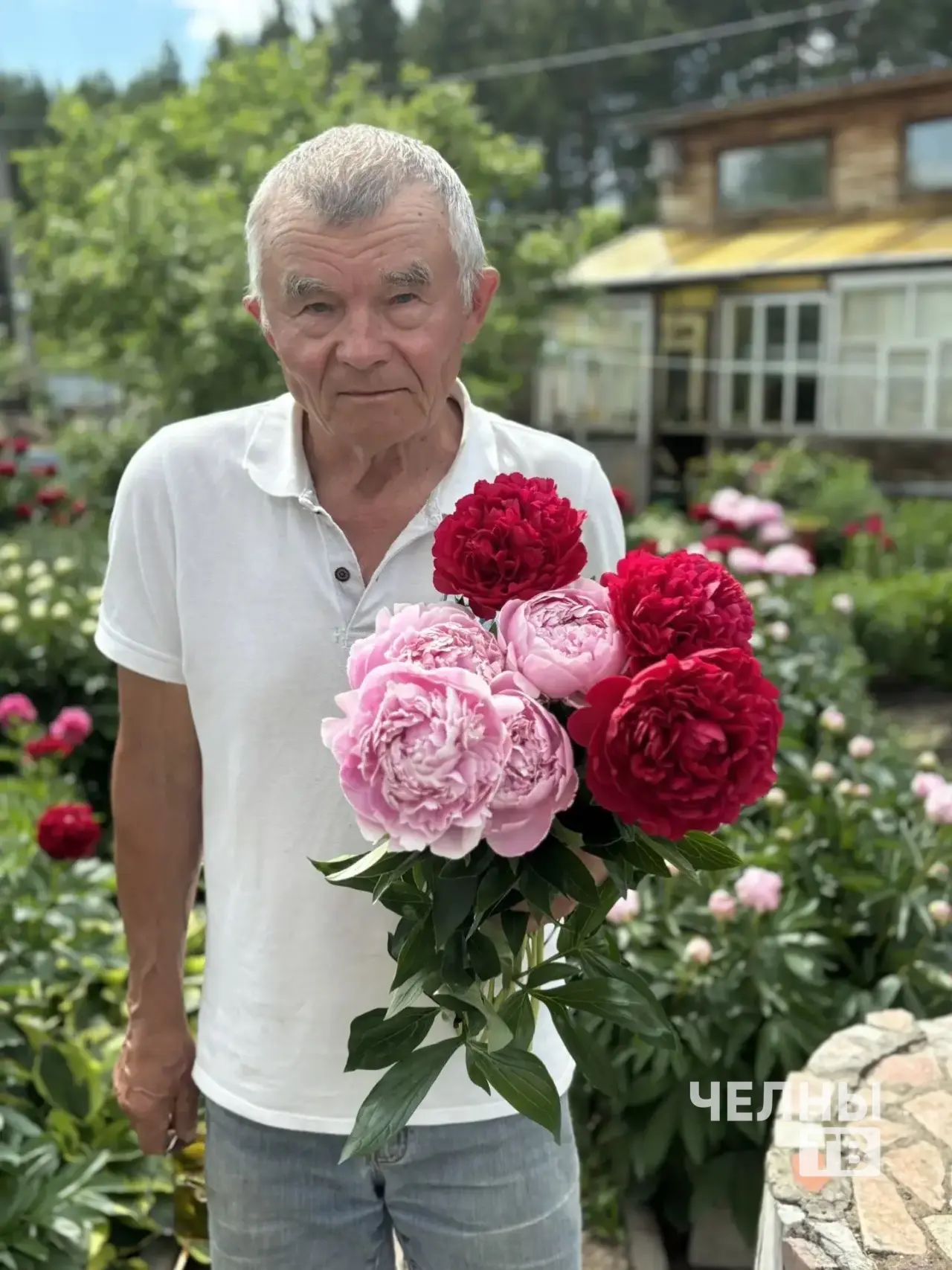 Пионовый рай: челнинец вырастил на даче более 150 кустов цветов