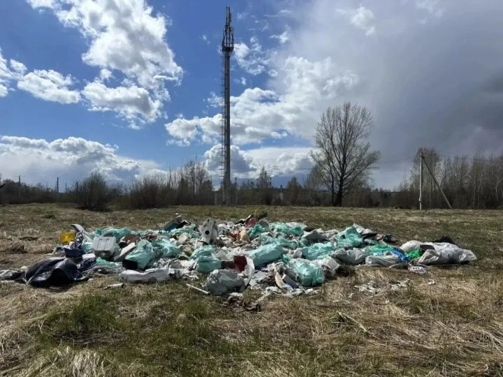 В Челнах обнаружили две незаконные свалки общей площадью 171 кв. метр
