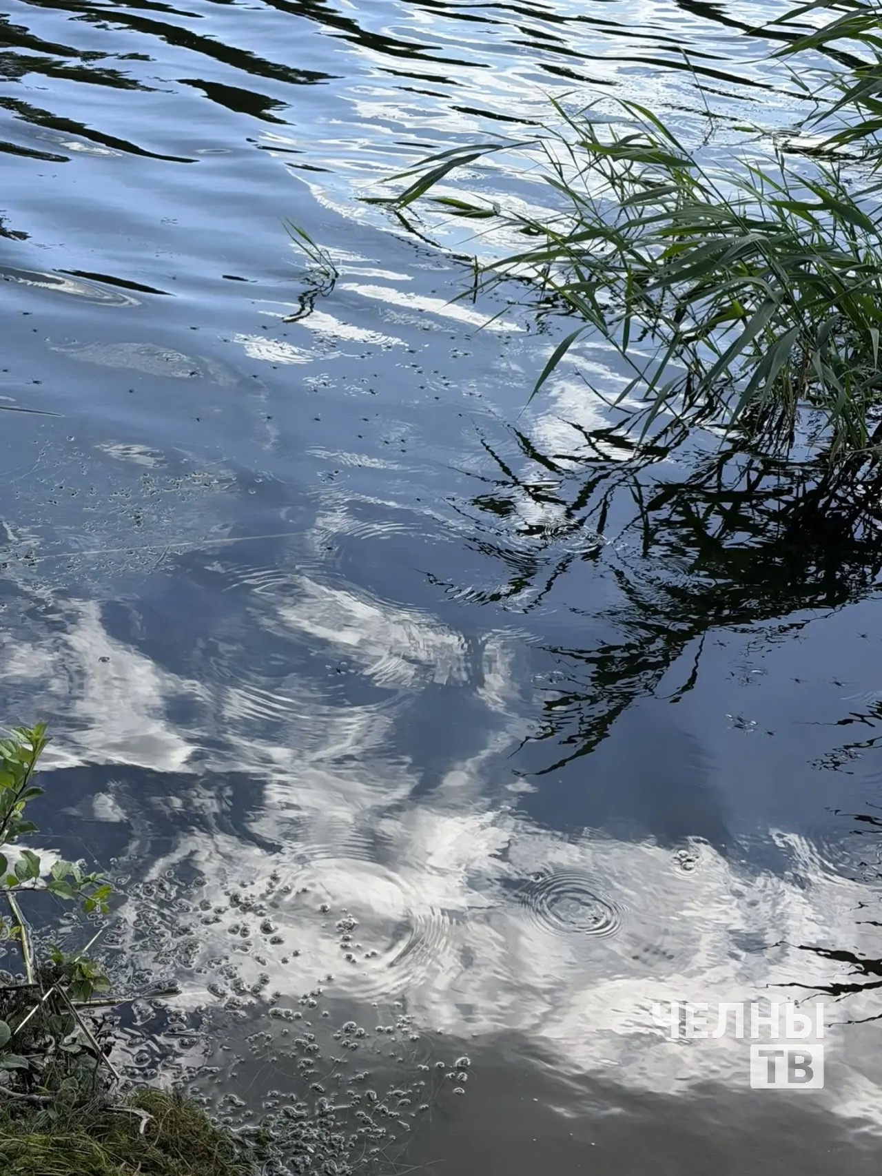 В Челнах стартовала обработка водоемов от комаров и личинок
