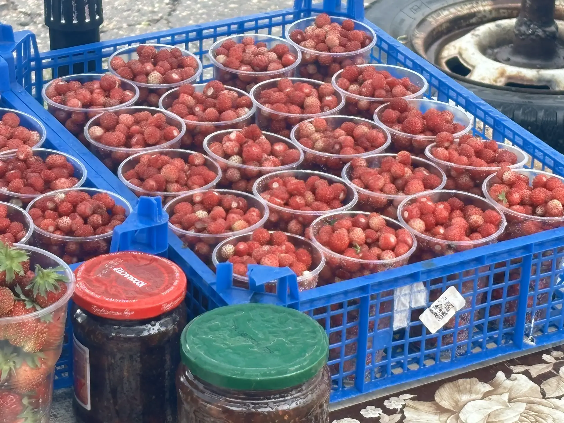 В Челнах стартовали продажи лесной и полевой земляники