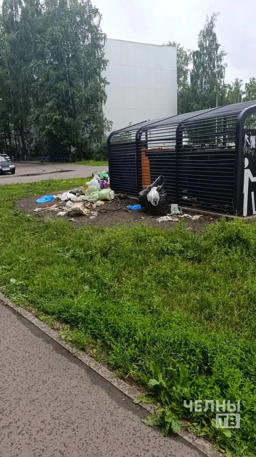 Жители 6-го комплекса Челнов пожаловались на мусор и антисанитарию во дворе