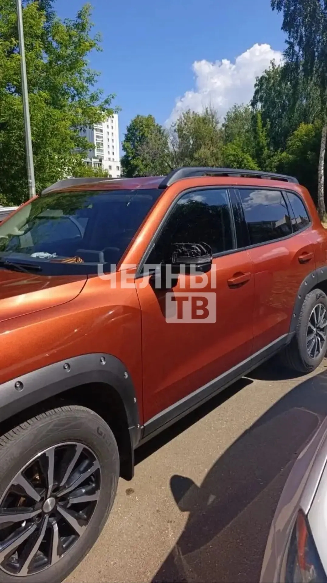 В Челнах упавшее дерево повредило два автомобиля во дворе дома