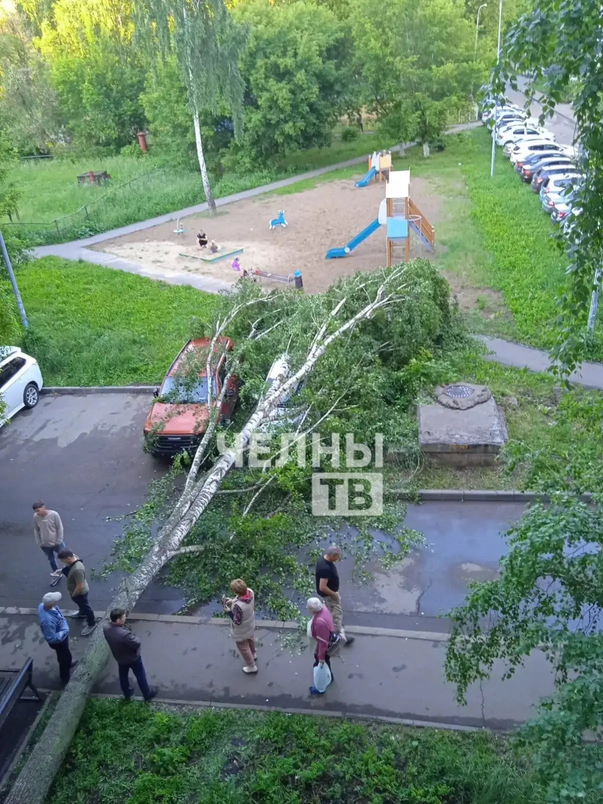 В Челнах упавшее дерево повредило два автомобиля во дворе дома