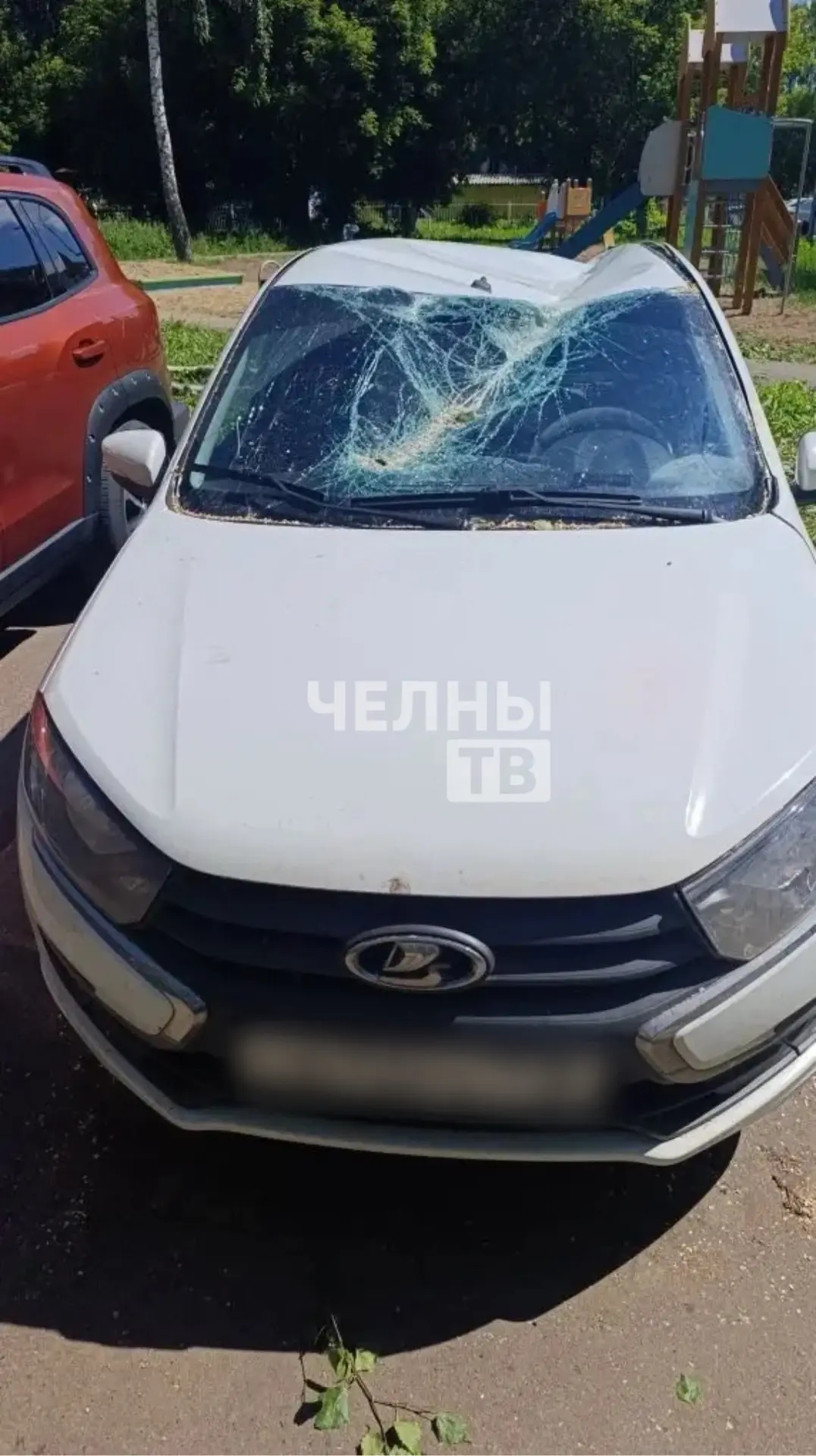 В Челнах упавшее дерево повредило два автомобиля во дворе дома