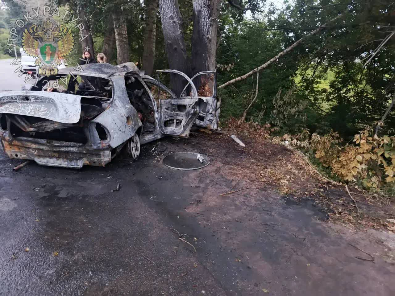 В Татарстане Chevrolet врезался в дерево: погибли шесть человек
