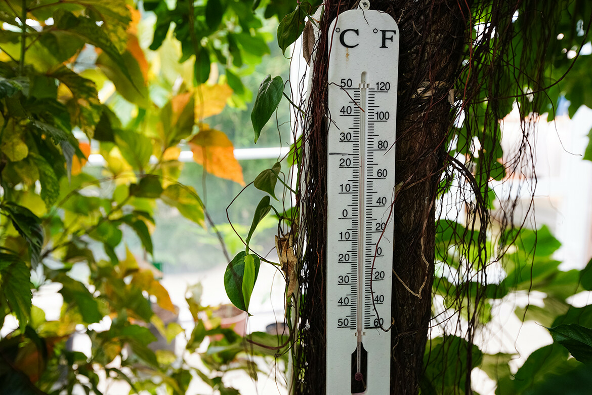 Прогноз погоды в Набережных Челнах на 26 июля: сильная жара до +34°
