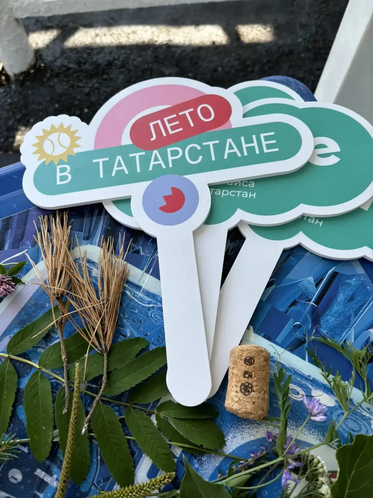 Челнинка выиграла грант на эко-арт-проект «Прибрежные истории»