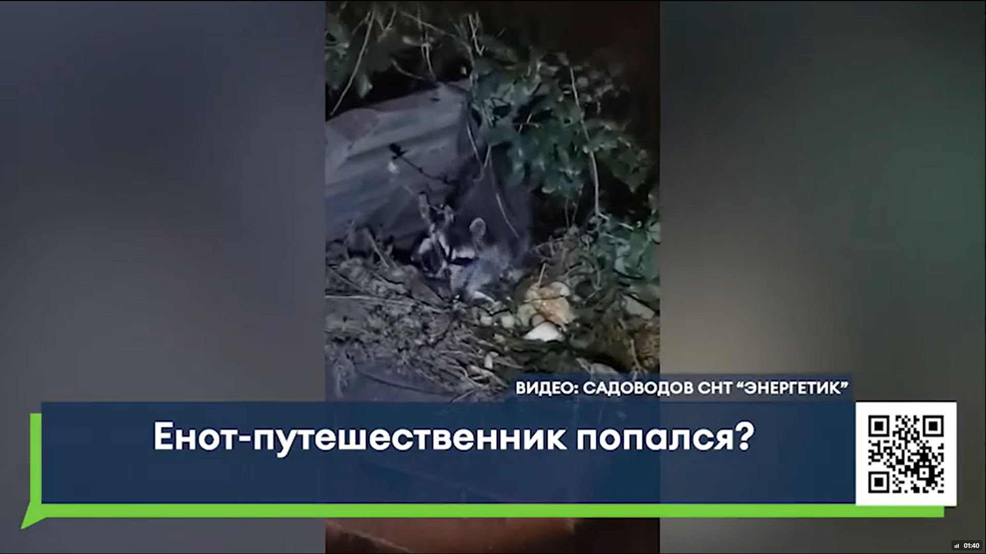 Так просто его не поймать!