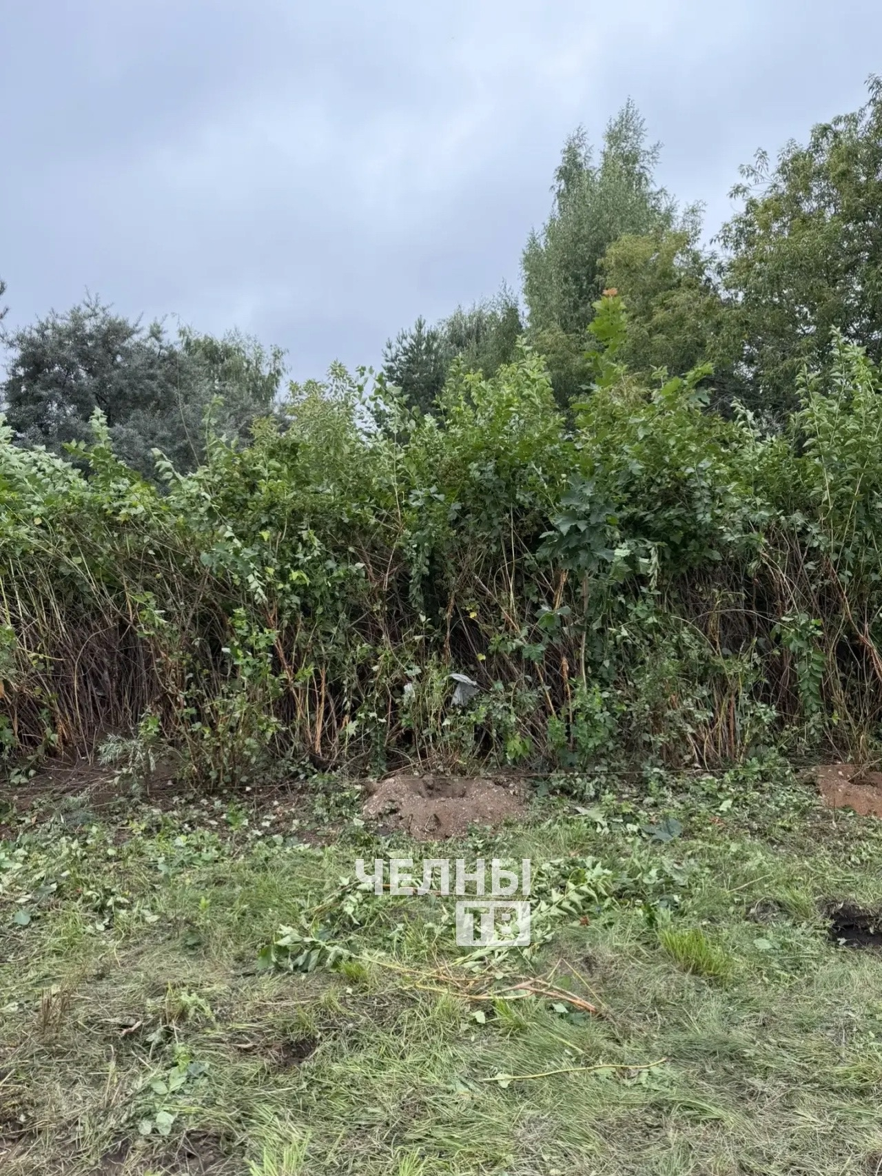 В детских садах Челнов заменяют старые ограждения и калитки