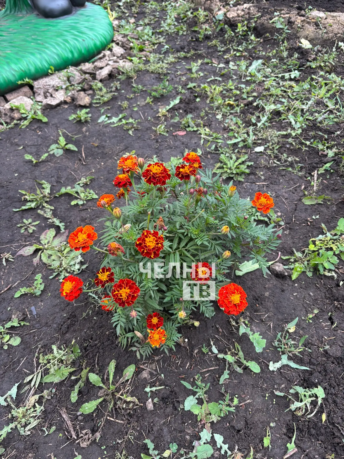 У дома 54/03 появилась фигура из бетона