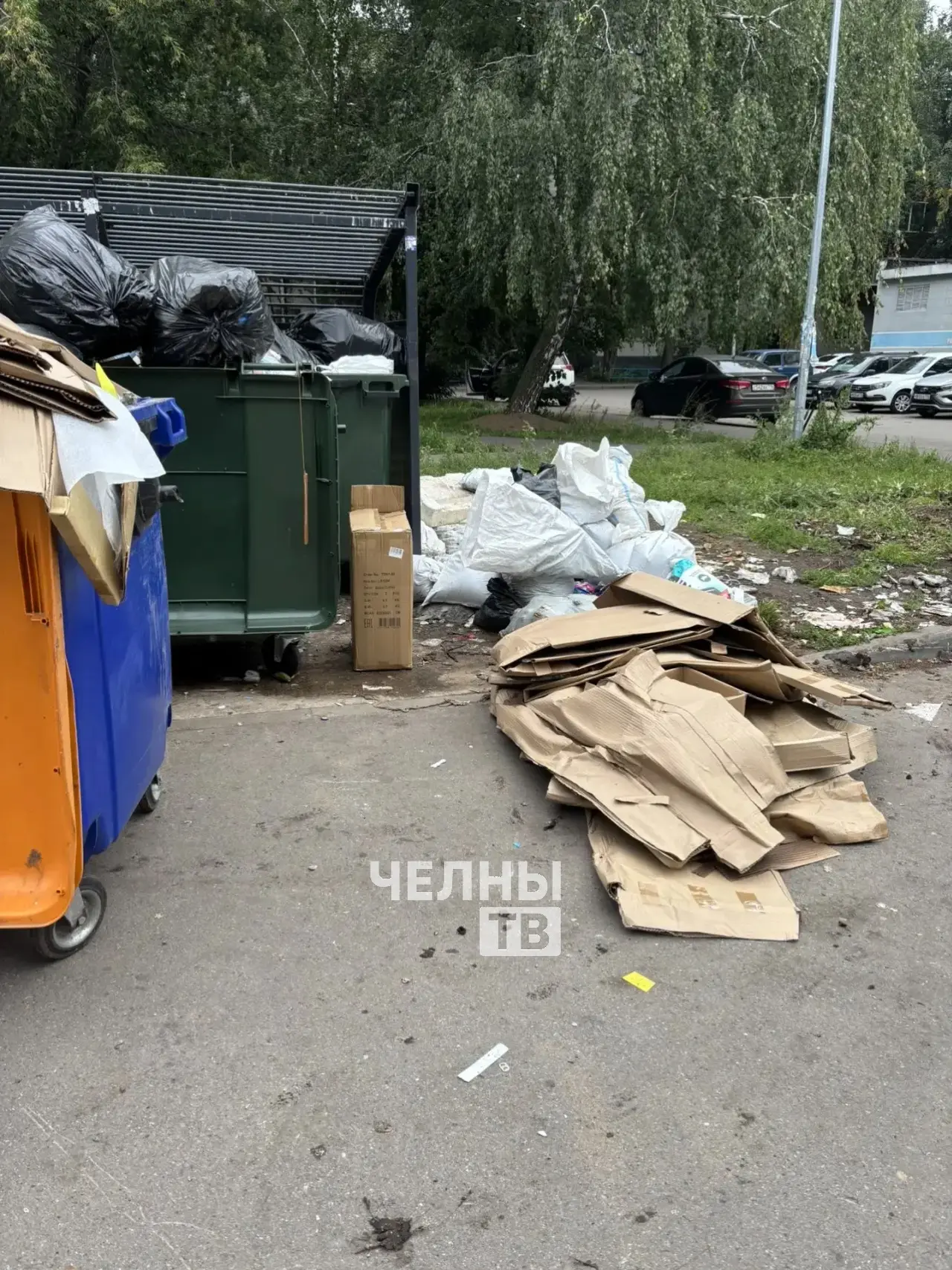 Неприятный запах и горы мусора: жители Челнов пожаловались на свалку