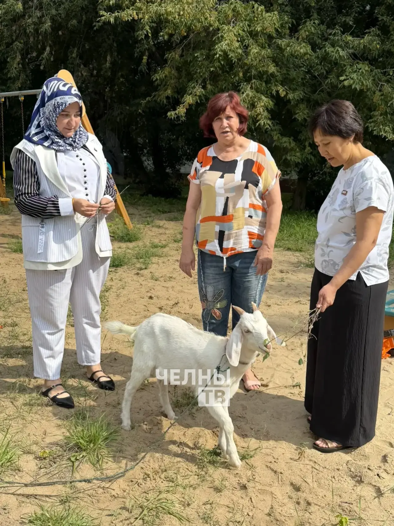 Козлик Борис Николаевич стал необычным питомцем челнинки