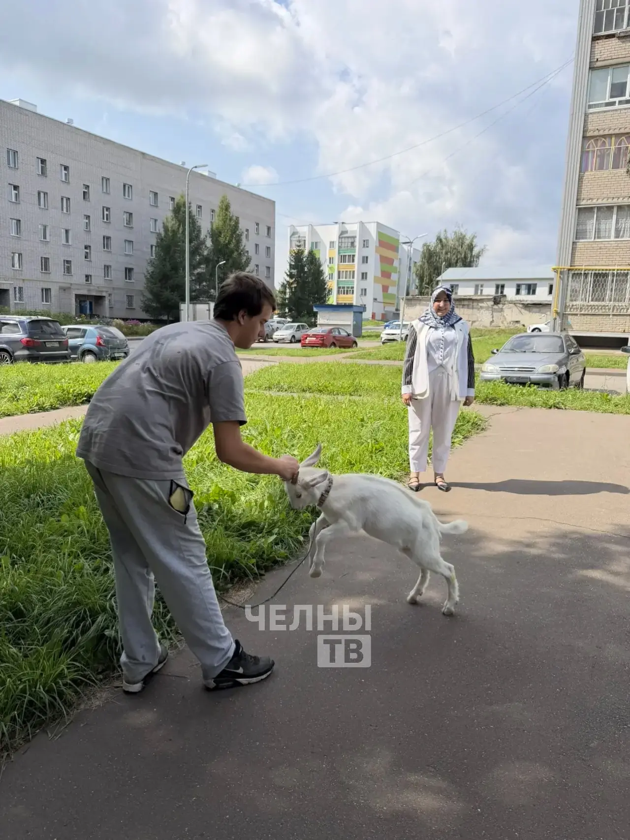 Козлик Борис Николаевич стал необычным питомцем челнинки