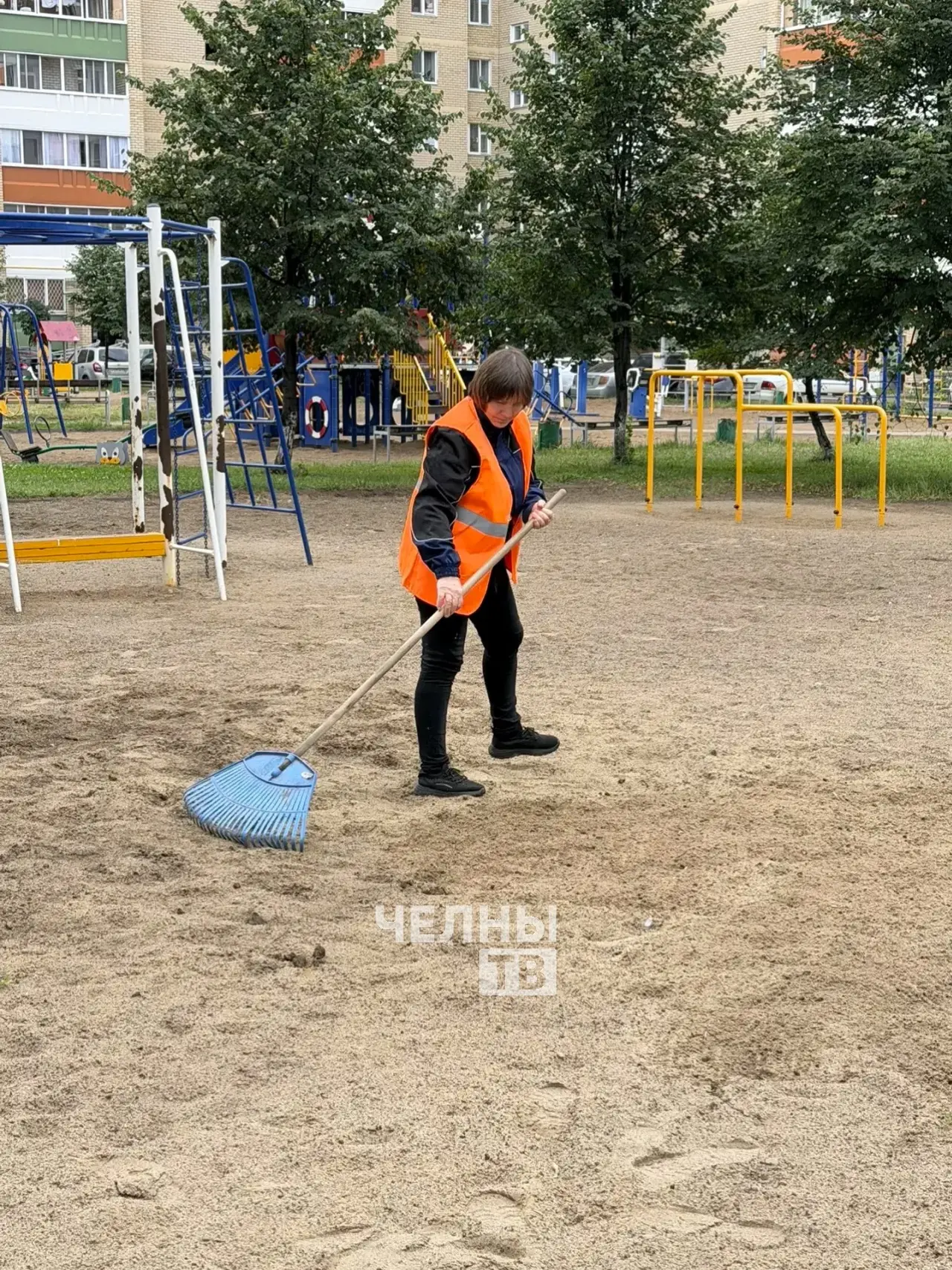 Дворники — одна из самых дефицитных профессий в России