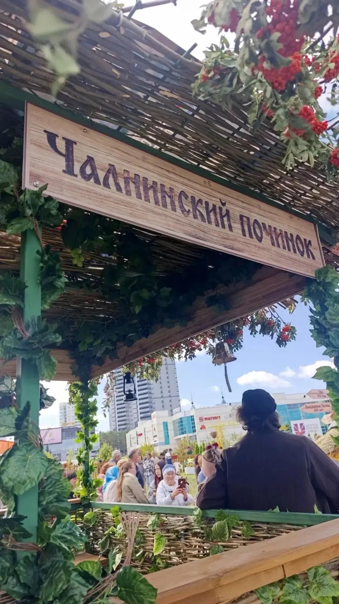 В Челнах отметили день республики Татарстан