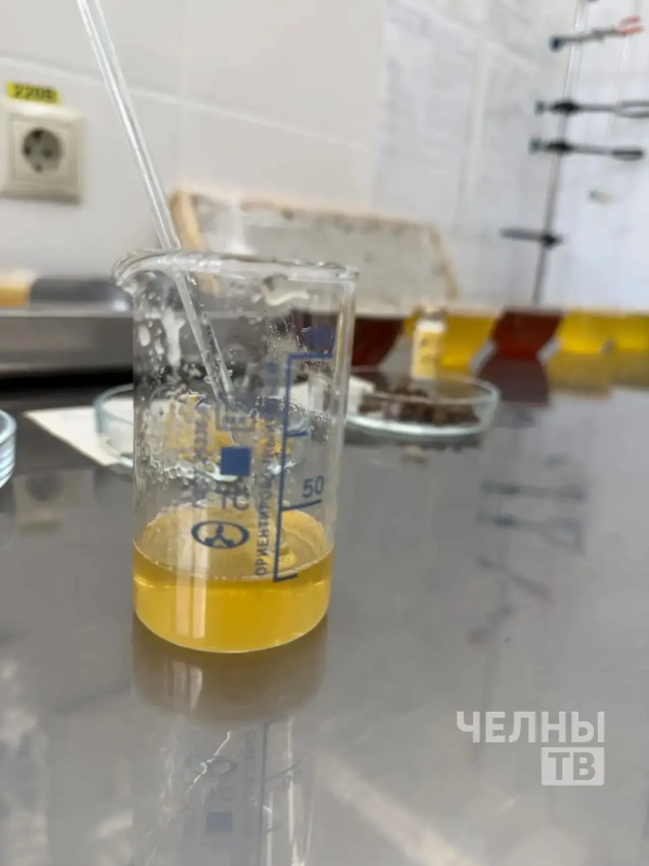 В лаборатории Челнов проверяют мед на содержание фальсификатов