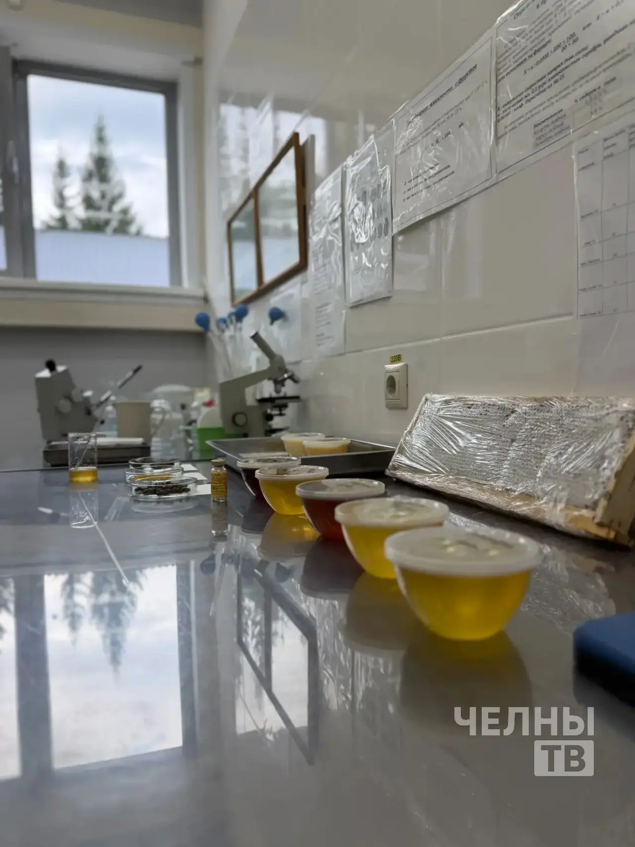 В лаборатории Челнов проверяют мед на содержание фальсификатов