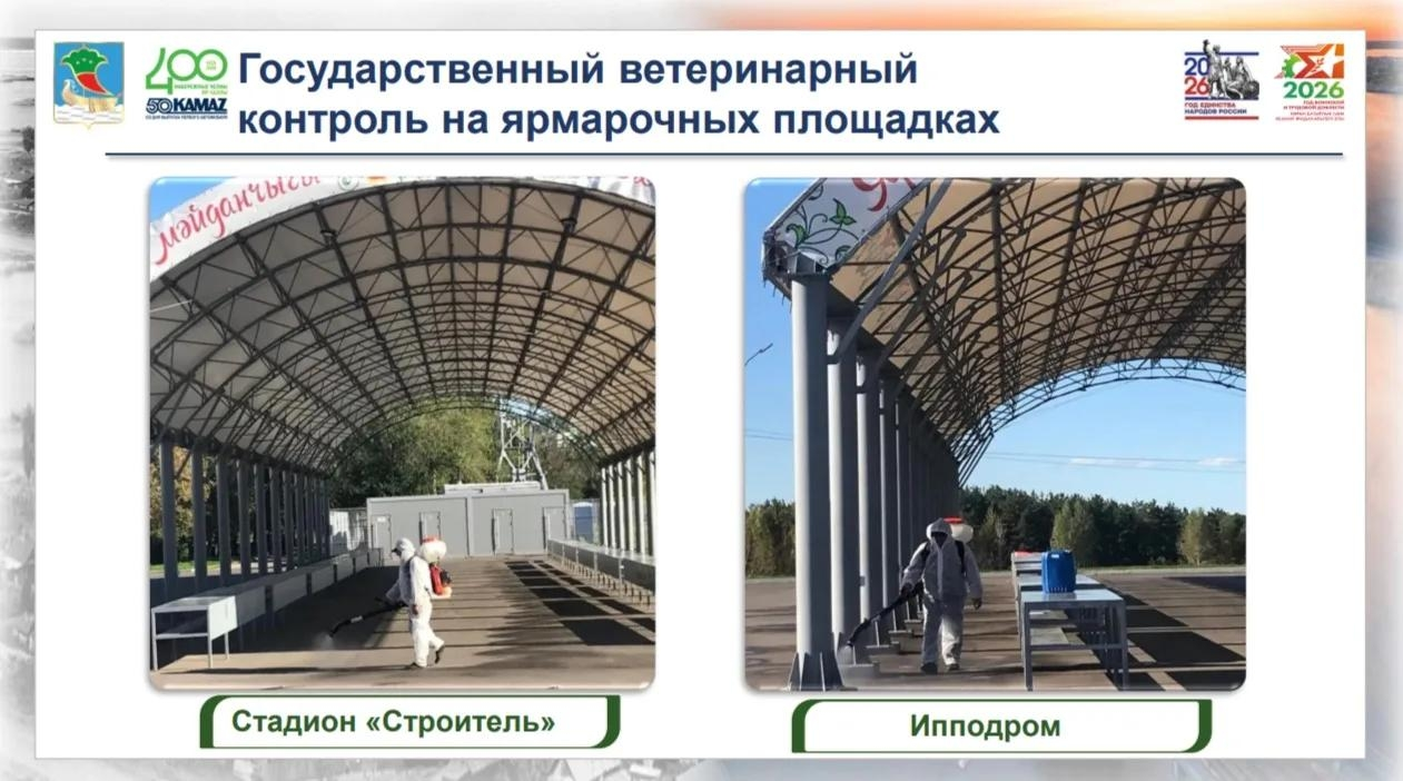 В Челнах в декабре пройдут предновогодние ярмарки «Новогодний гусь»