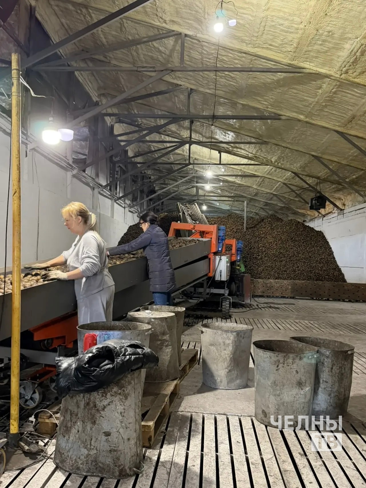 В Тукаевском районе продолжается уборка картофеля