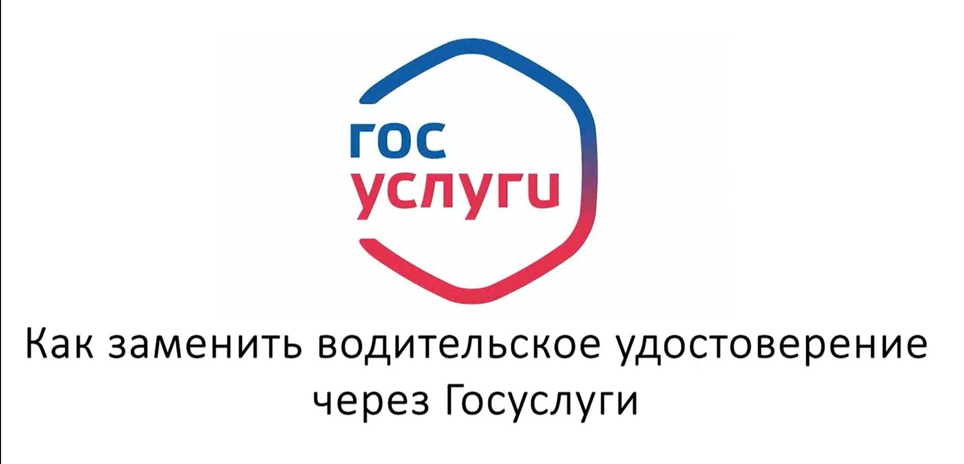 В ГАИ рассказали, как заменить водительские права через Госуслуги