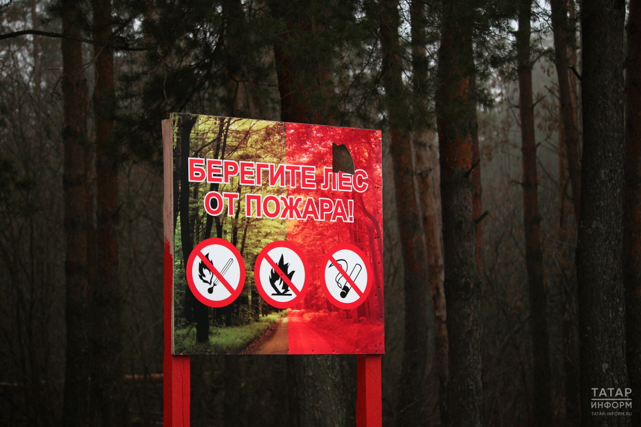 224 возгорания у лесов ликвидировали в Татарстане с начала года