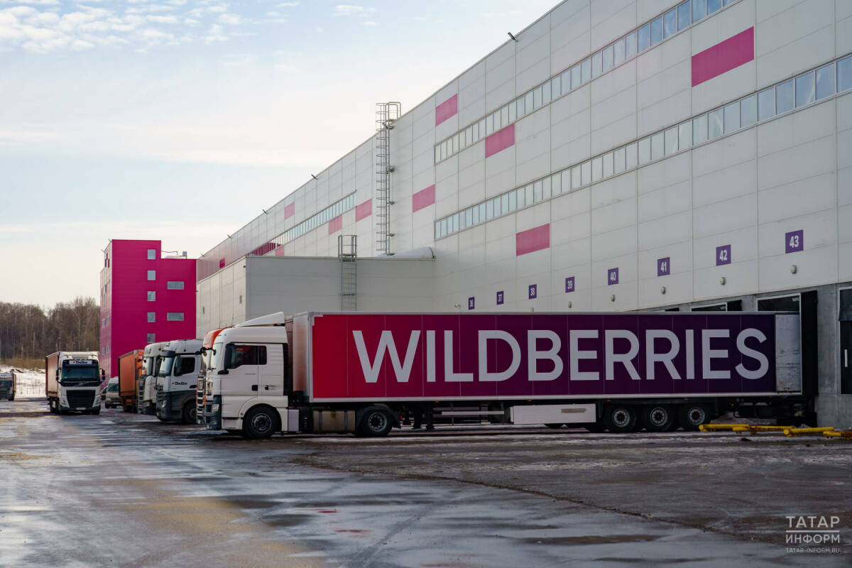 В Татарстане одобрили первый льготный займ пострадавшему селлеру Wildberries