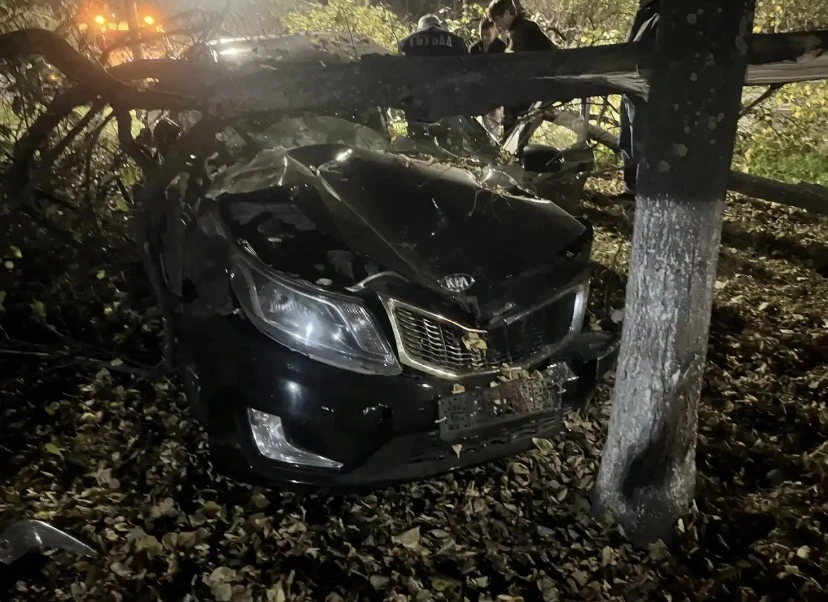 В Челнах иномарка врезалась в дерево, пострадала пассажирка