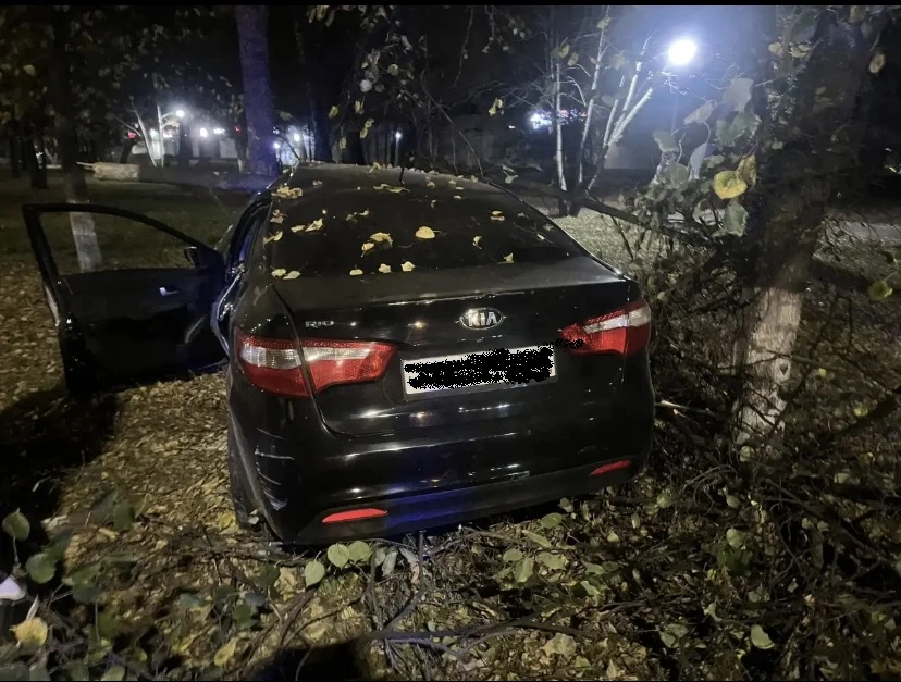 В Челнах иномарка врезалась в дерево, пострадала пассажирка