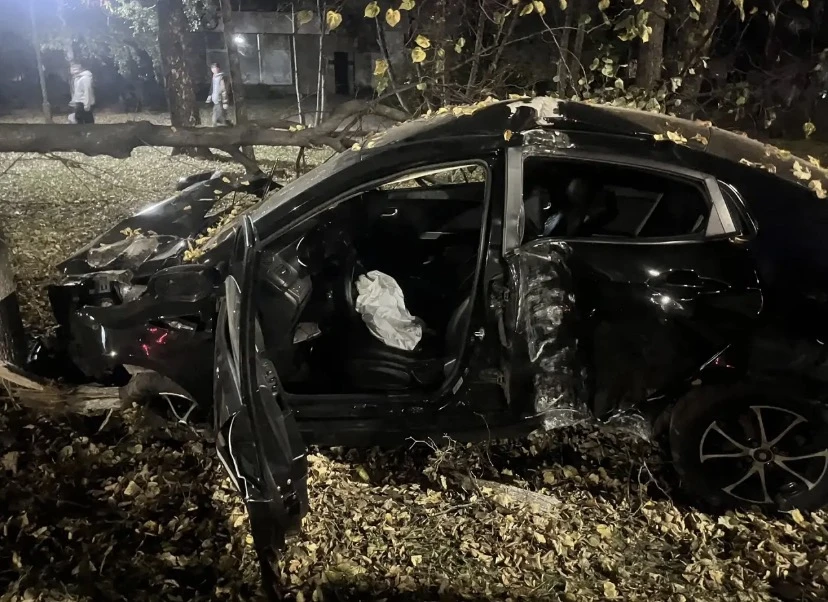 В Челнах иномарка врезалась в дерево, пострадала пассажирка