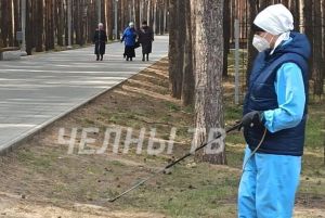 Избавят от кровопийц: в Татарстане обработают парки и скверы от клещей