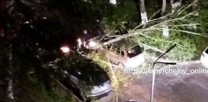 В Челнах из-за сильного ветра на автомобиль упало дерево