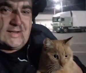 Дальнобойщик развёлся с женой из-за пропавшего кота, но пушистый вернулся