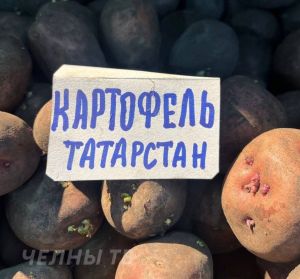 Цены на картофель выросли на 147% — сколько теперь стоит килограмм?