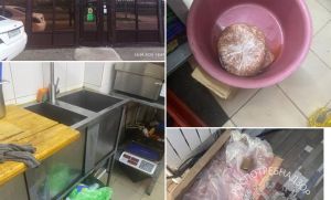 В Челнах кафе закрыли на 70 суток после вспышки сальмонеллеза