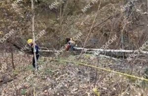 В Казани спасатели вытащили 80-летнего мужчину из глубокого оврага
