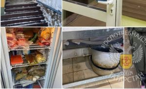 В Казани суд приостановил работу суши-бара «Цезарь» на 60 суток