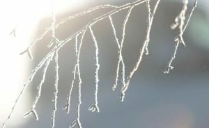 Прогноз погоды в Набережных Челнах на 15 февраля