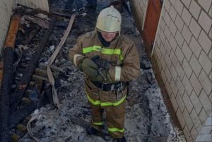 В Тюлячинском районе пожарные спасли кота из горящего сарая