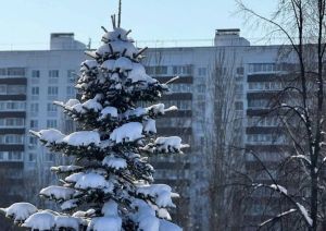 Прогноз погоды в Набережных Челнах на 5 февраля