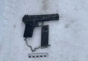 У жителя Нижнекамска нашли пистолет ТТ и боеприпасы