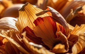 Юрист объяснил, можно ли в магазине снимать шелуху с лука