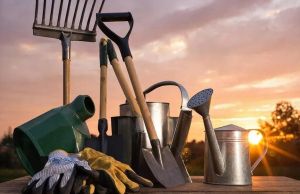 Магдеев призвал жителей Челнов выйти на субботник 18 апреля