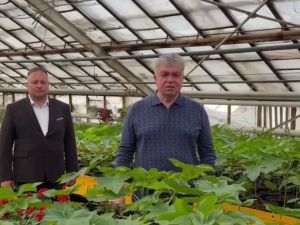 В Челнах к лету высадят 1,5 млн цветов