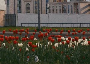 Прогноз погоды в Челнах на 23 мая: тёплый день с летним настроением
