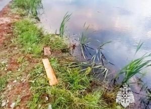 В Чистопольском районе из пруда достали тело 24-летнего мужчины
