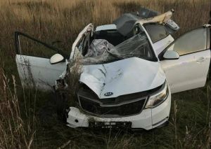 В Татарстане пассажирка KIA погибла после столкновения с лосем