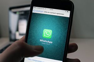 WhatsApp готовит новую функцию для пользователей