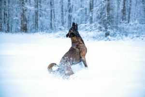 В поселке под Казанью обнаружен труп женщины