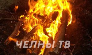 В Татарстане за неделю потушили более 100 пожаров